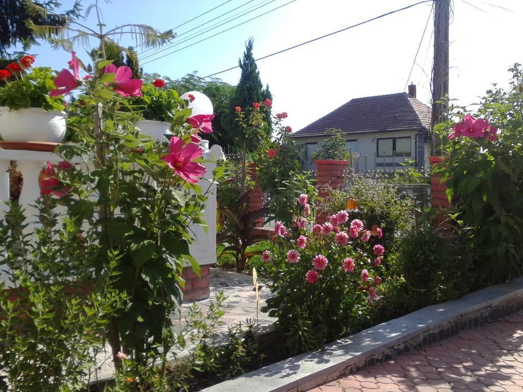 Kristaly Apartman Bed & Breakfast Hévíz Екстериор снимка